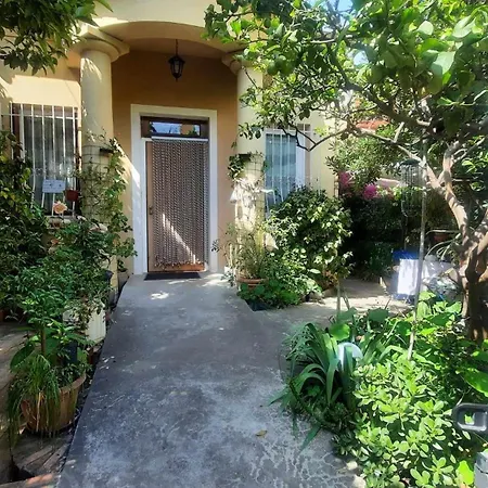 Appartement Les Violettes Menton