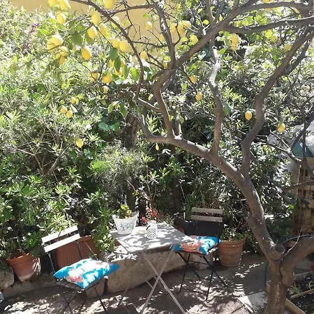 Les Violettes Appartement