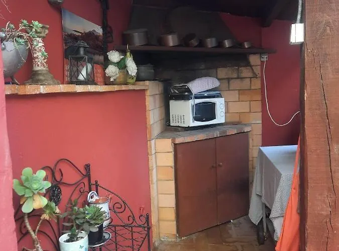 Les Violettes * 멍똥