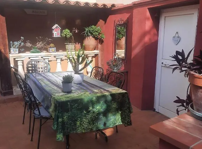 Les Violettes 멍똥