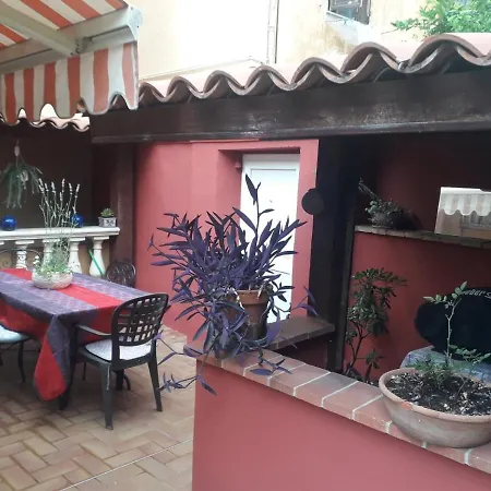 Les Violettes マントン