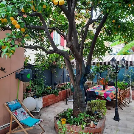 Les Violettes * Menton