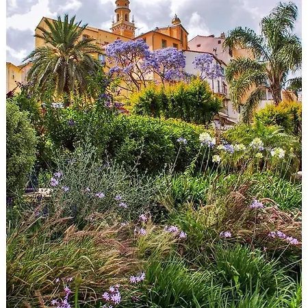 Les Violettes Apartment *