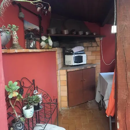 Les Violettes * Menton