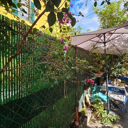 Apartment Les Violettes