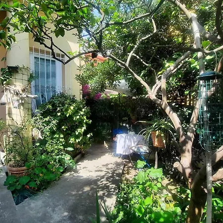 Les Violettes アパート *