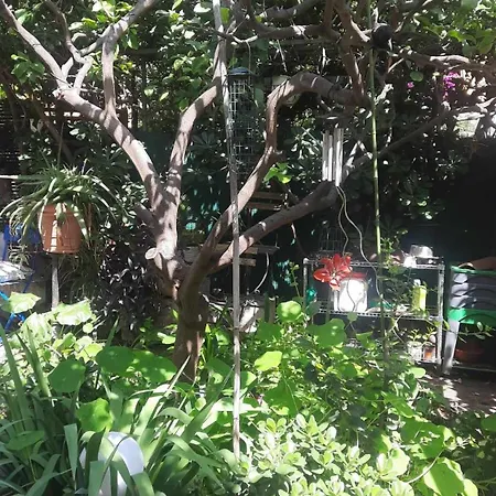 Les Violettes Apartmán *