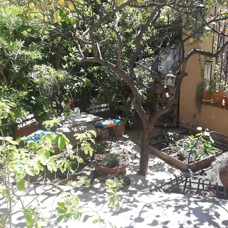 Les Violettes Apartment *