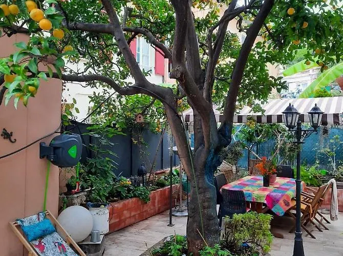 Les Violettes * Menton