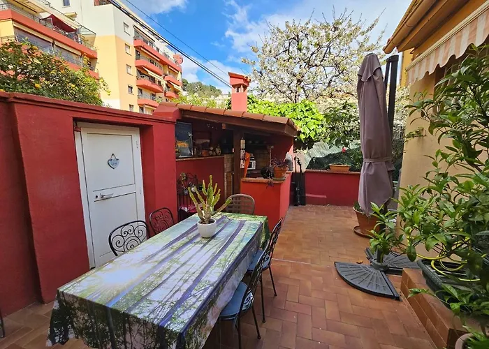 Les Violettes * 芒通