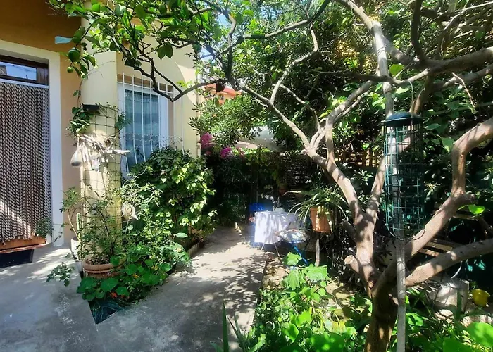 Les Violettes Apartment *