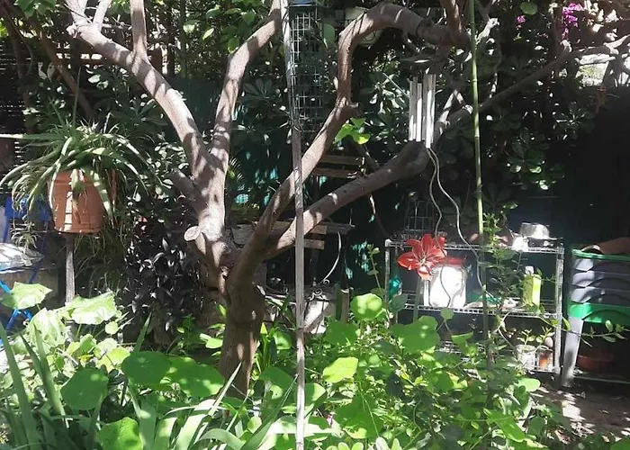 Les Violettes Apartment *