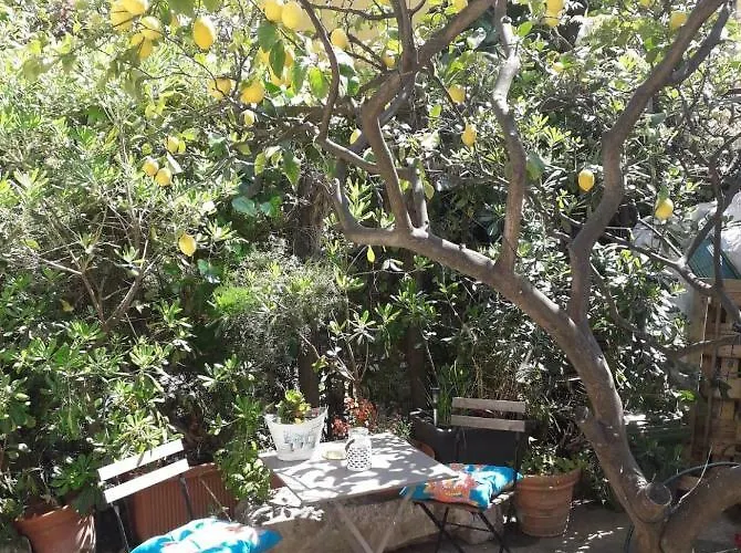 Les Violettes 公寓