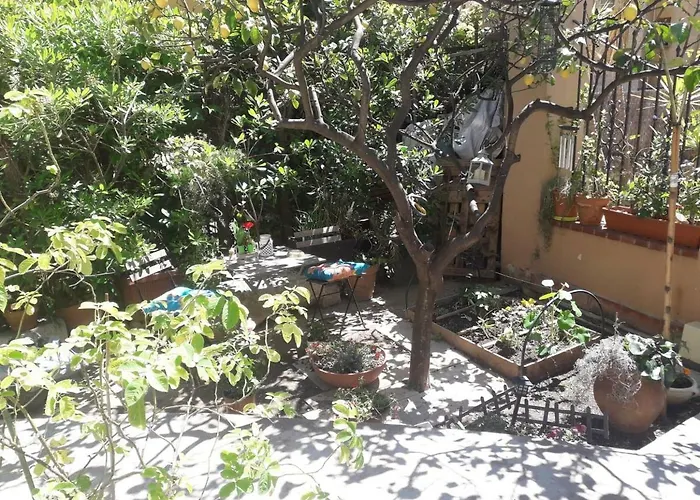 Les Violettes Apartment *